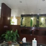 Osama Al Hashimi Dental Clinic