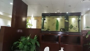 Osama Al Hashimi Dental Clinic