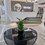 The One Plus Dental Clinic