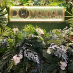 Domanial Dental Clinic